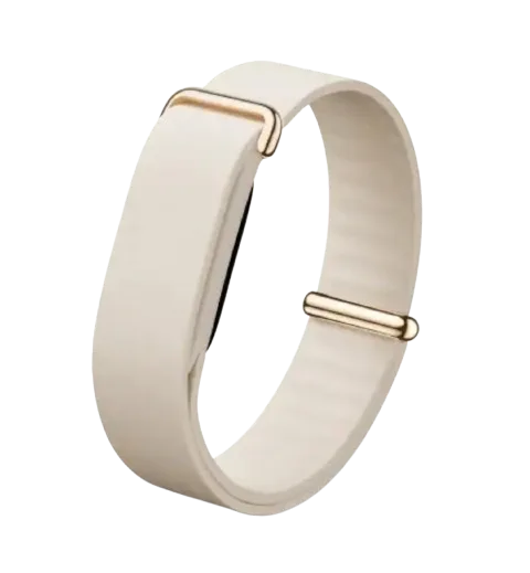 Google Fitbit Air Elevated Modern Band