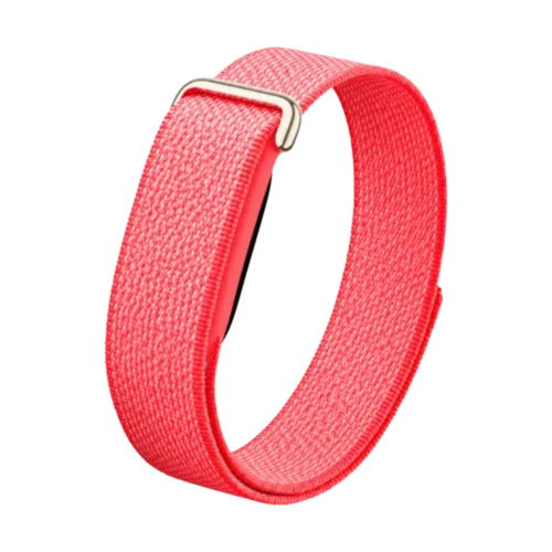 Google Fitbit Air Loop Band